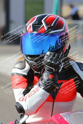 media/Feb-23-2024-2WTD (Fri) [[a719da276a]]/1-Around the Pits/